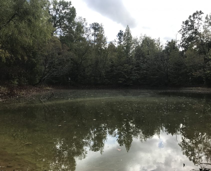 Properties Paden Land and Timber