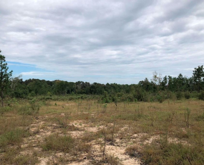 Properties Paden Land and Timber