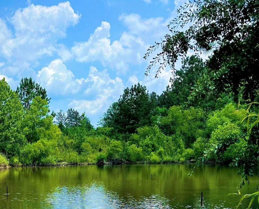 Properties Paden Land and Timber